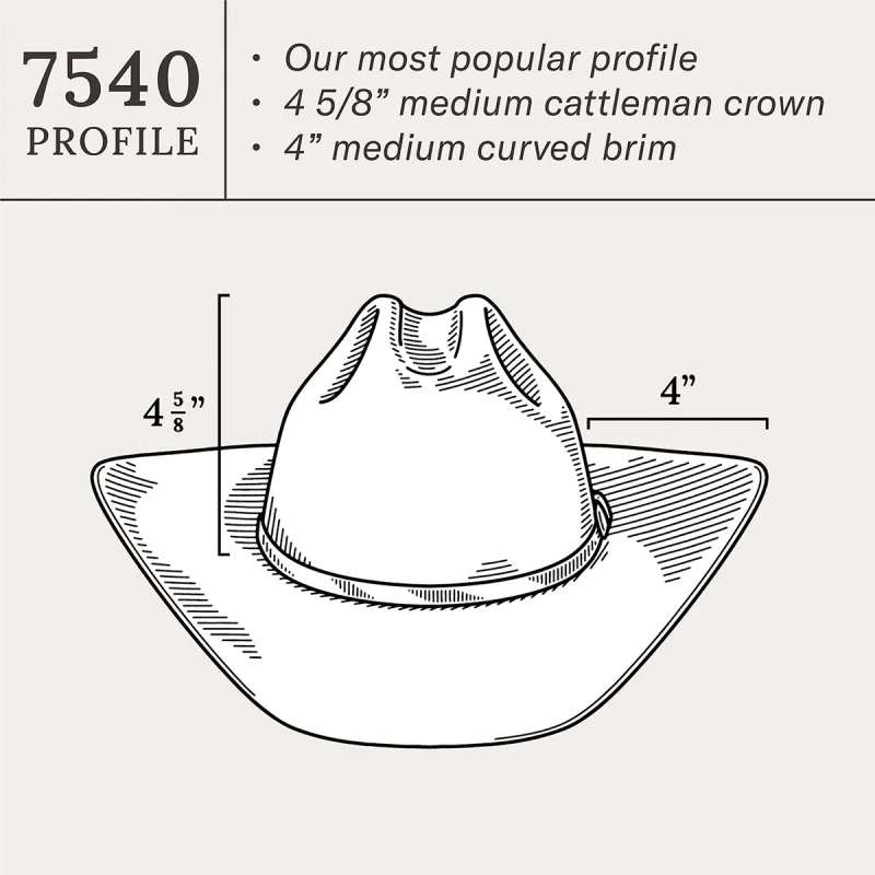 Stetson Corral Buffalo 4X Cowboyhatt Silversand