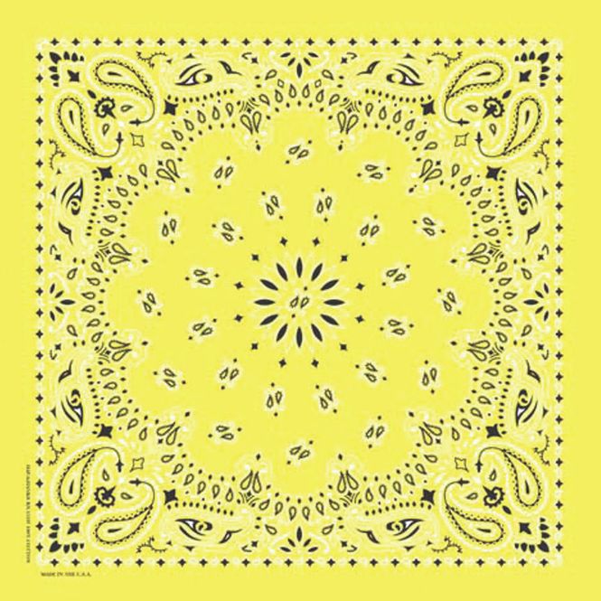 Hovedbilde Gul Paisley Bandana