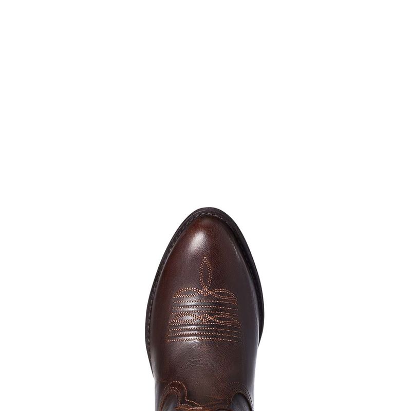 Ariat Darlin Sassy Brown Boots